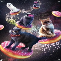 Џејмс Букер - Галакси Простор Мачки Јава Крофни Ѕид Постер Со Притисни Иглички, 14.725 22.375