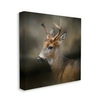 Слупел Вудленд елен природа фотографија животни и инсекти галерија за фотографирање завиткано платно печатење wallидна уметност