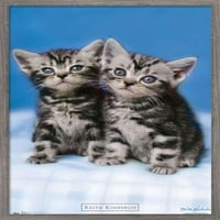 Кит Кимберлин - Мачиња - Близнаци Ѕид Постер, 22.375 34
