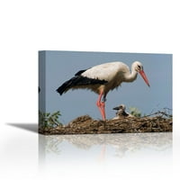 Бел Штрк бенд возрасен со пиле на гнездо, Ерневалд Фрисланд , Холандија-Современа Ликовна Уметност Гикли На Платно Галерија
