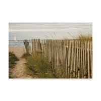 По должината на плажата ограда II 'платно уметност од Аледанда