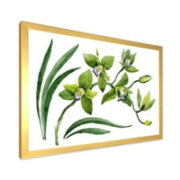 DesignArt „Зелени орхидеи цвеќиња на бело“ Традиционално врамено уметничко печатење