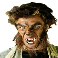 Комплет за хорор за хорор на вештерките на Werewolf од забавен свет