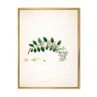 Дизајн на „Антички растителен живот xviii“ Фарма куќа врамена платно wallидна уметност печатење