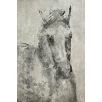 Мармонт Хил Бело сив коњ од Ирена Орлов Сликарство печатење на завиткано платно