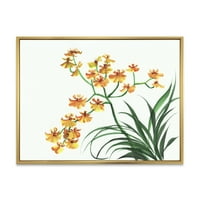 DesignArt 'Yellowолти гроздобер орхидеи на бело' традиционално врамено платно wallидно печатење
