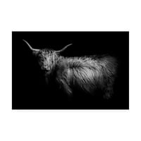 Трговска марка ликовна уметност „Здраво Хајленд крава“ платно уметност од Фотоинци Студио