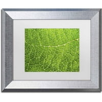 Трговска марка ликовна уметност „Зелена лисја текстура“ платно уметност од Кора Ниле, бела мат, сребрена рамка
