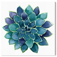 Wynwood Studio отпечати сукулентни loversубители на цветни и ботанички ботаники wallидни уметнички платно печати сина тиркизна 12х12