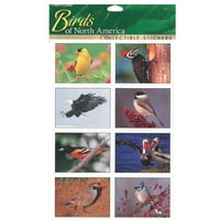 Почетна & Градина 9 Мулти - Боја Налепница Лист Птици Од Северна Америка