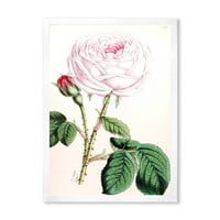Дизајн на „Антички розов цвет“ Традиционално врамено уметничко печатење