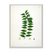 DesignArt 'Антички Лондонски растенија vi' Фарма куќа врамена платно wallидна уметност печатење