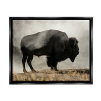 Tuphell Industries моќна бизонска пасење магливо рурално пасиште фотографија фотографија jet Black Floating Framed Canvas Print
