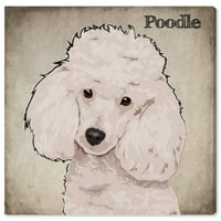 Wynwood Studio Animals Wall Art Canvas Prints 'Poodle' кучиња и кутриња - бели, кафеави