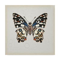 Трговска марка ликовна уметност „студија за пеперутка II“ платно уметност од Мелиса Ванг