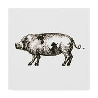Трговска марка ликовна уметност „Икони за животни од фарма Ii“ платно уметност од Сју Шлабах