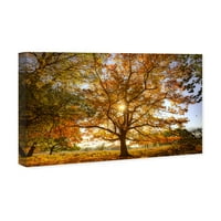Студио Винвуд Студио Природа и пејзаж wallид платно печати 'Curro Cardenal есенско дрво од дрво' Шумски пејзажи - портокалови,