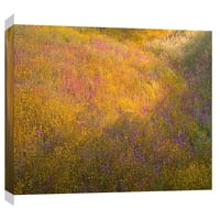 Слики, висока пустинска пролет 1, 20х16, украсна платно wallидна уметност