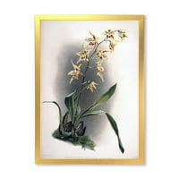Дизајн на „Антички орхидеи цвет“ Традиционално врамено уметничко печатење
