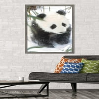 Животни-Панда Во Снежниот Ѕид Постер, 22.375 34